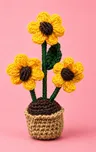 Flower Pots